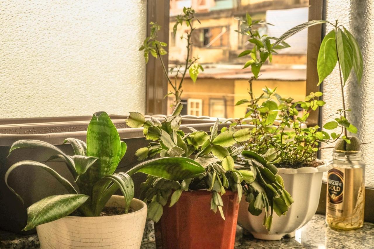 Dora Hostel Da Lat Esterno foto